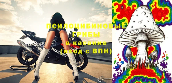 бошки Алзамай