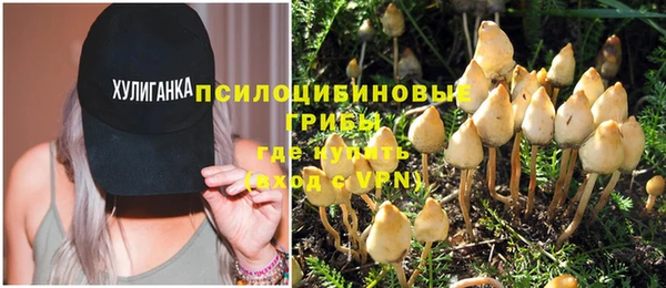 бошки Алзамай