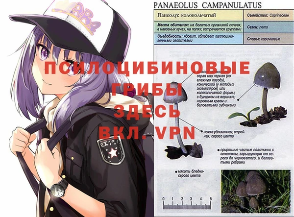 дурь Алексеевка
