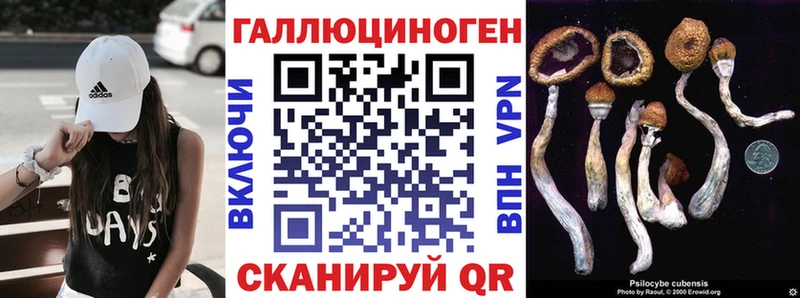 Галлюциногенные грибы мицелий  Боготол 