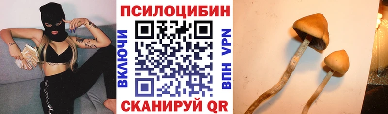 Псилоцибиновые грибы прущие грибы Боготол